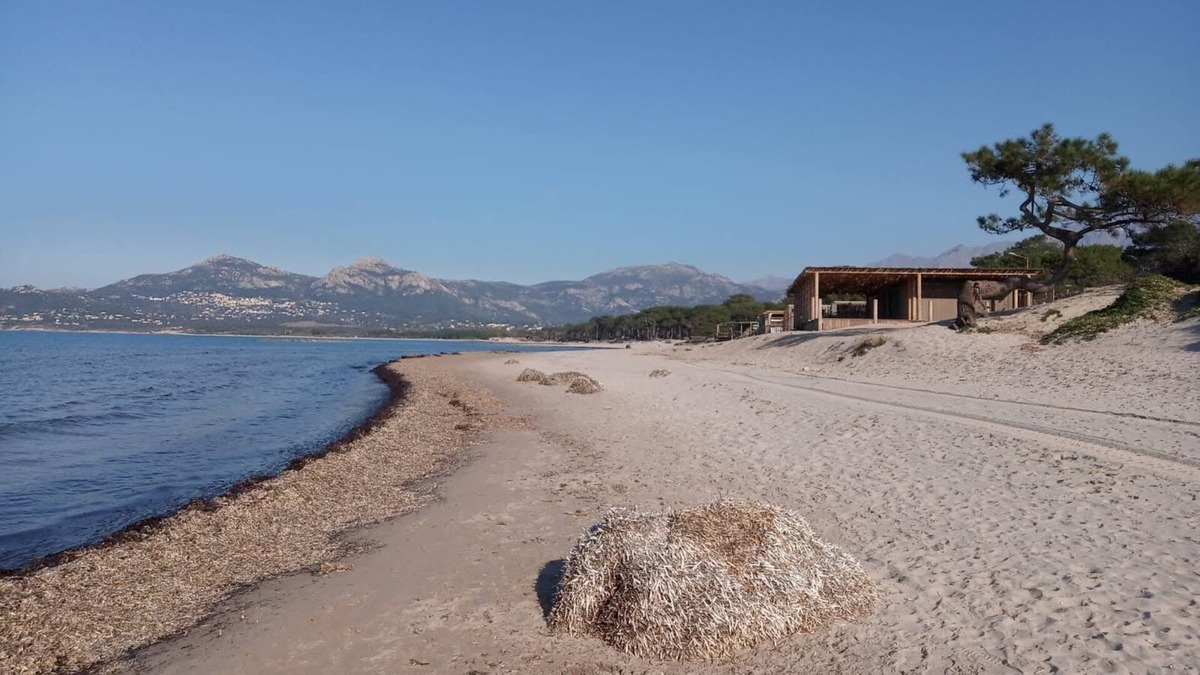 Calvi Villa | Villa 100 m2 garden Calvi beach 6 min by car