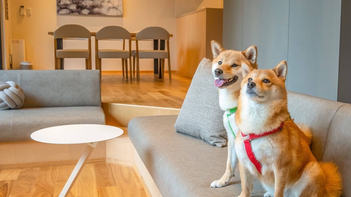 Yamakawa Onsen House | VILLA 105 Pets allowed/Aso-gun Kumamoto
