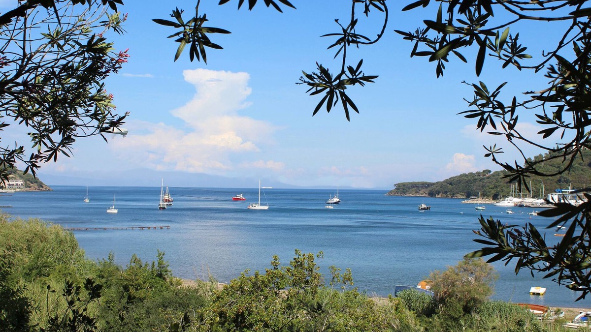 Mola Villa | VILLA 50 meters from sea, private garden, parking, air conditioning, 5G internet