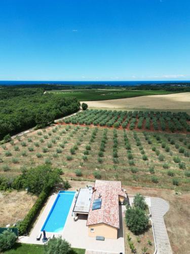Buzinija Villa | Villa Absolute privacy