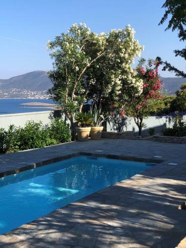 Porto Rafti Villa | Villa-Agave , by the sea in Porto-Rafti outside Athens