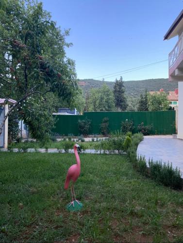 Imouzzer du Kandar Villa | Villa ain soltan