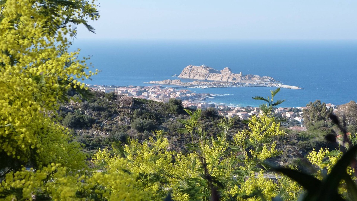 Monticello Villa | Villa Alimea 4 Étoiles Avec SPA à Monticello Corse