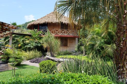Ajijic Hotel | Villa Armonia Hotel & Spa