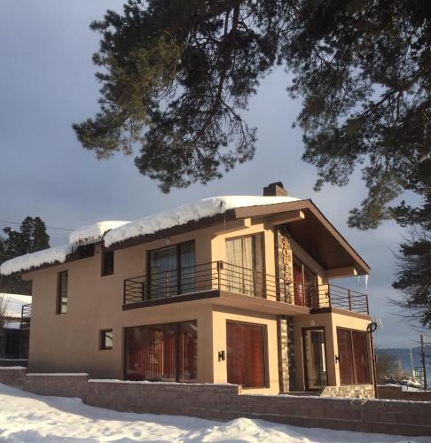 Bakuriani Villa | Villa Astoria Bakuriani