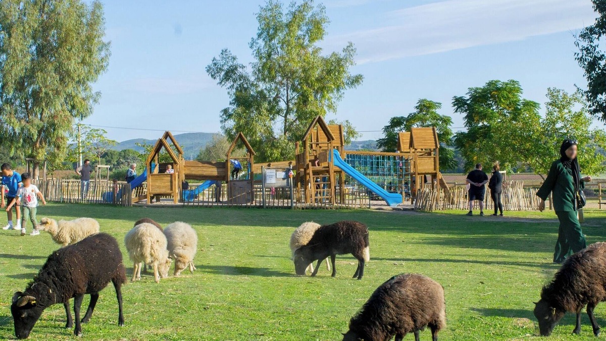 Le Pouget Other | Villa avec piscine, accès ferme, jeux d'enfants, animaux