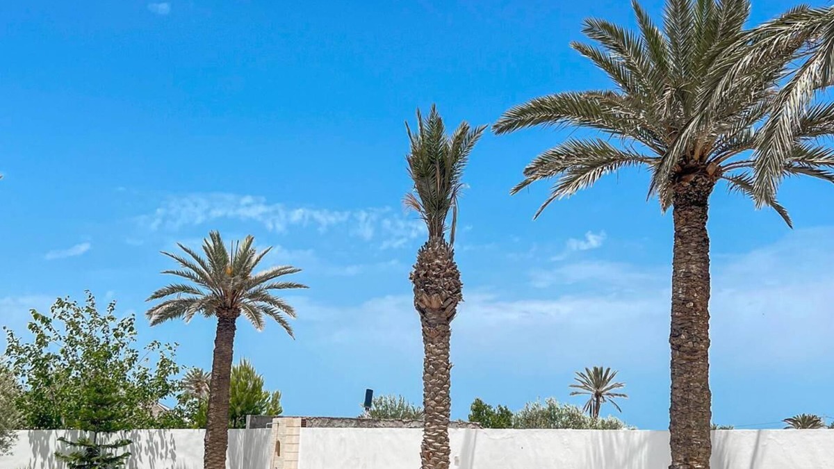 Sedghiane Villa | Villa Avec Piscine Djerba