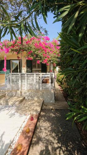 Iscra e Voes House | Villa Babai