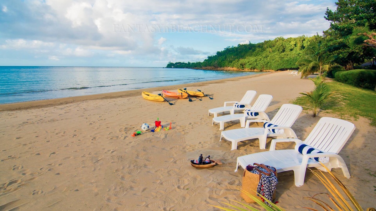 Rio Bueno Villa | Villa BEACHNUT - ON PRIVATE BEACH IN A GATED COMMUNITY