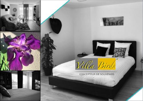 Boran-sur-Oise House | VILLA BIRDS