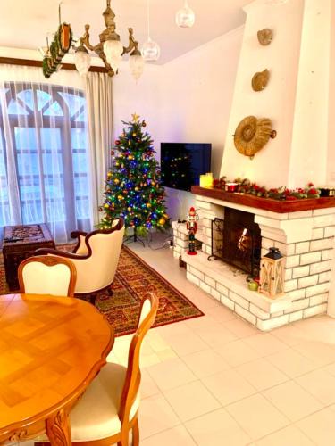 Ujpest Apartment | Villa Butterfly