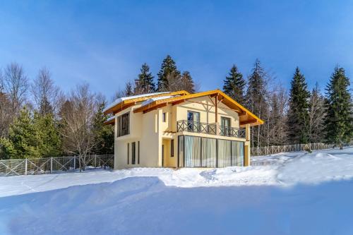 Bakuriani Villa | Villa by Sunexpress Bakuriani