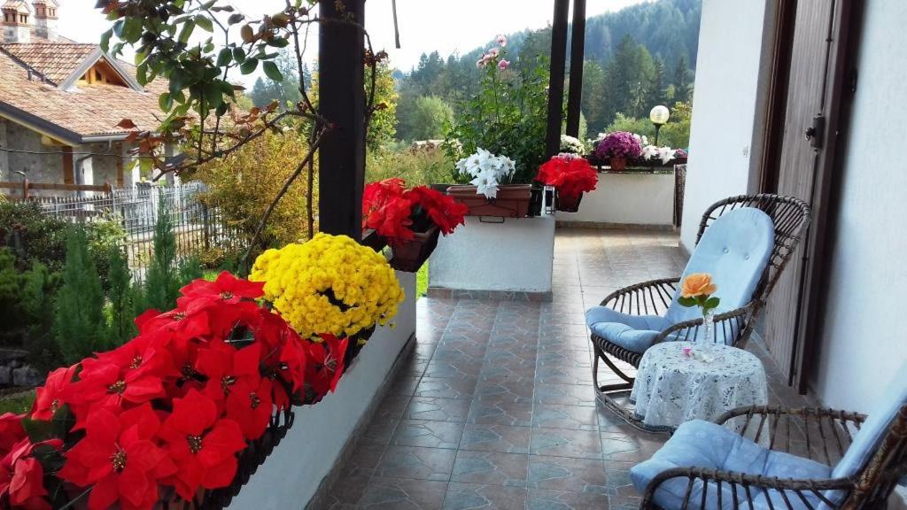 Borno House | Villa Chanel