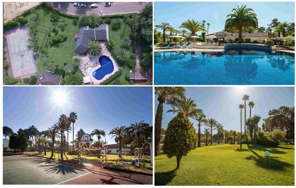 Verdizela Villa | Villa das Palmeiras