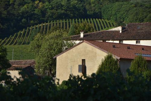 Mezzane di Sotto House | Villa del Brolo - Famiglia Furia