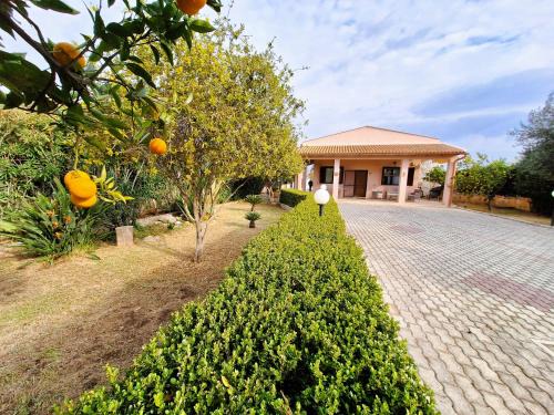 Arenella Villa | Villa del Mandorlo