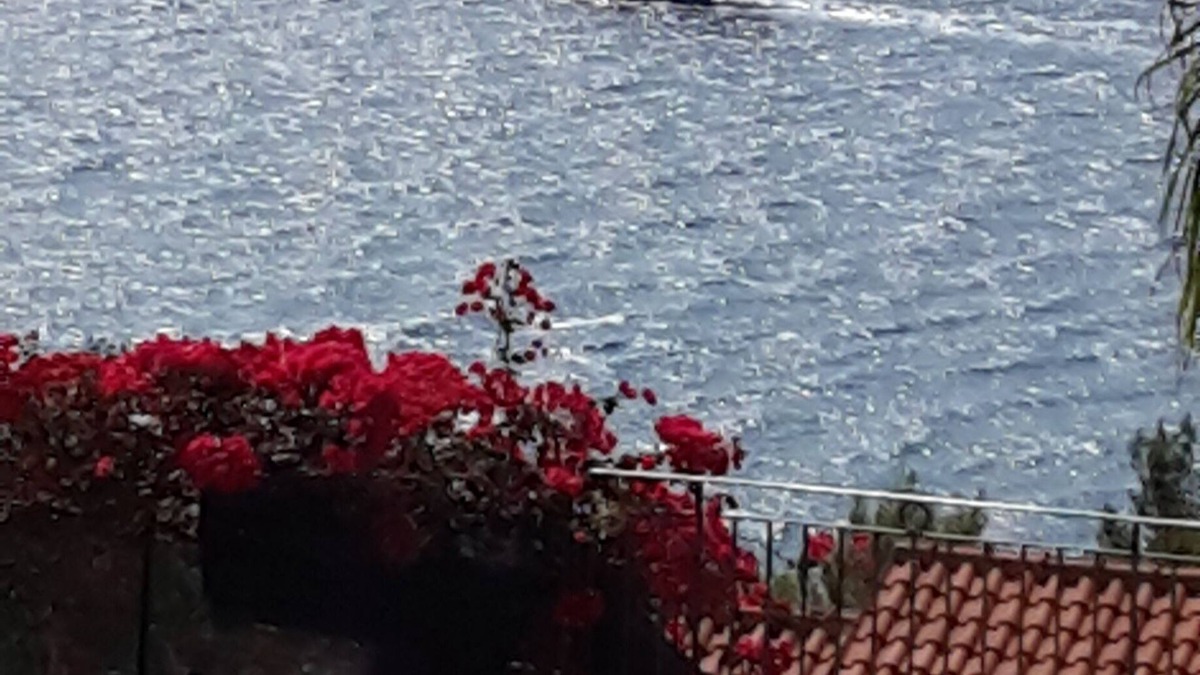 Aregai Apartment | villa del mare ligure
