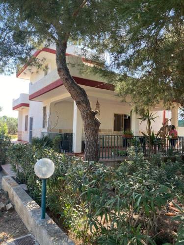 Torre Squillace House | Villa Del Prete