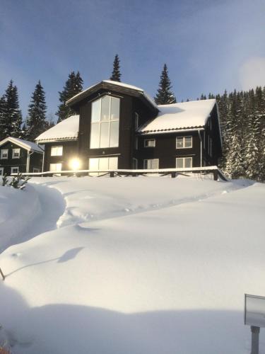 Are Municipality Villa | Villa Edvinsväg 8