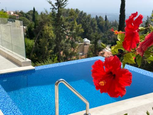 Tala Villa | Villa Eirini Kamares Tala Luxury Sea View