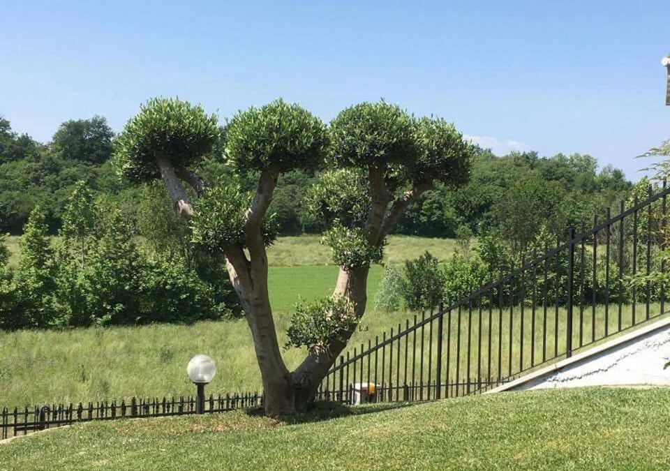 Pozzolengo Villa | Villa Elisa Relax