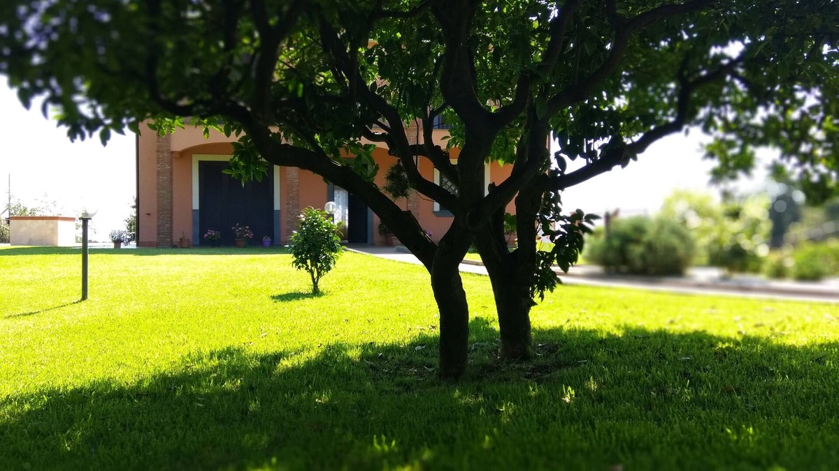 Pennisi Bed & Breakfast | Villa Feluchia B & B between the Sea and the Volcano - family black room
