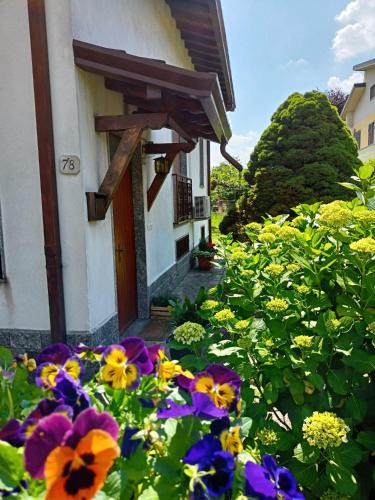 Albate House | Villa Franca Como