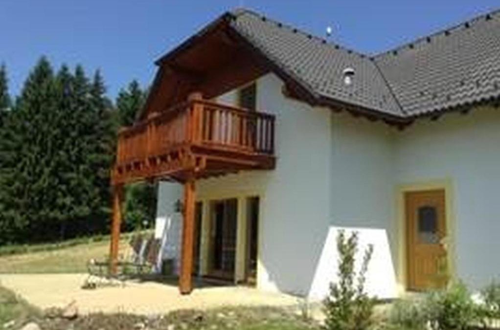 Lipno nad Vltavou Villa | Villa Gamma - Lipno Home