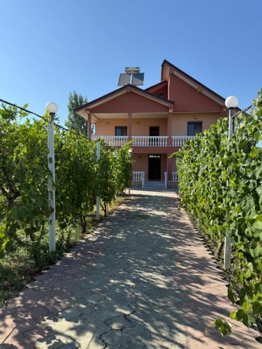 Kamez Villa | Villa Gega