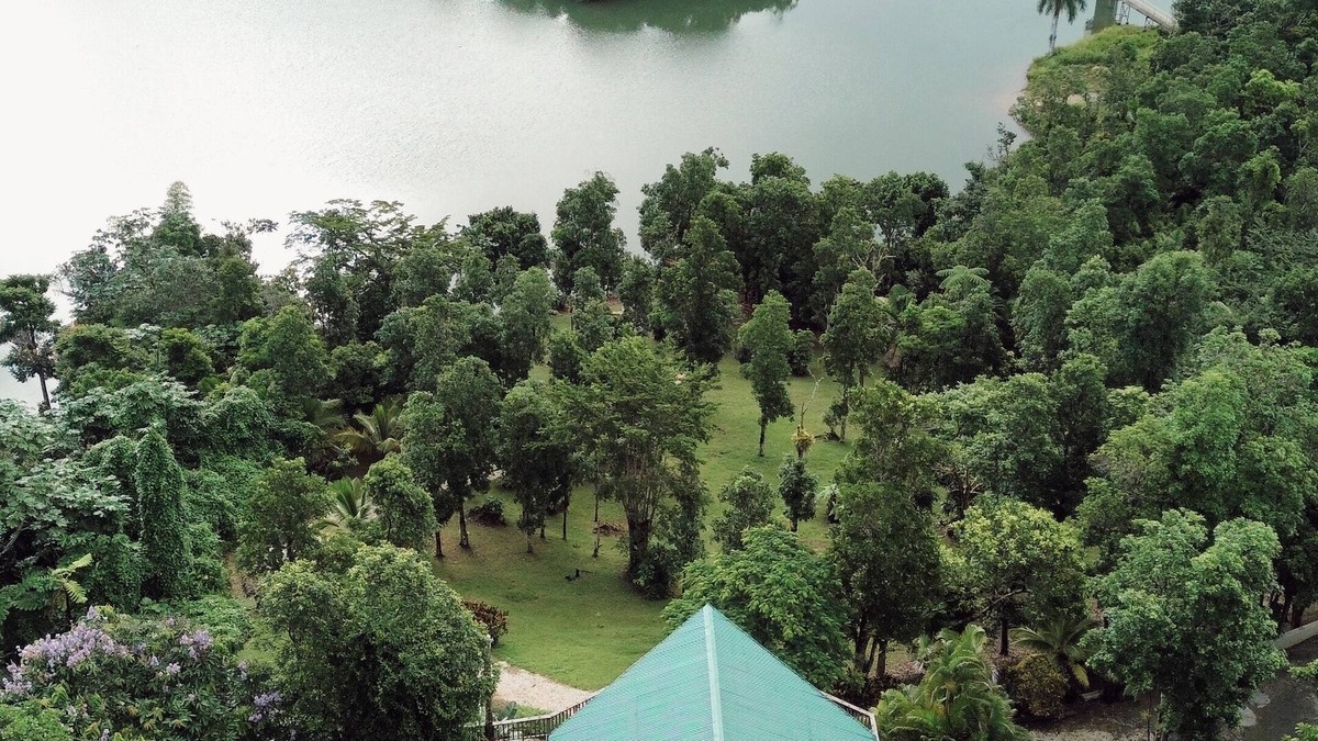 Carite House | Villa Glorimer Lake House Retreat .Great for Family and Friends.