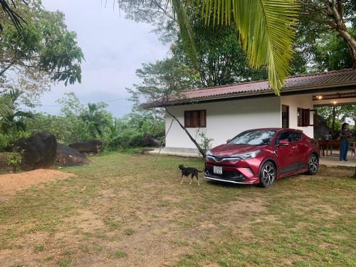 Hiniduma Villa | Villa Haycock Plantation