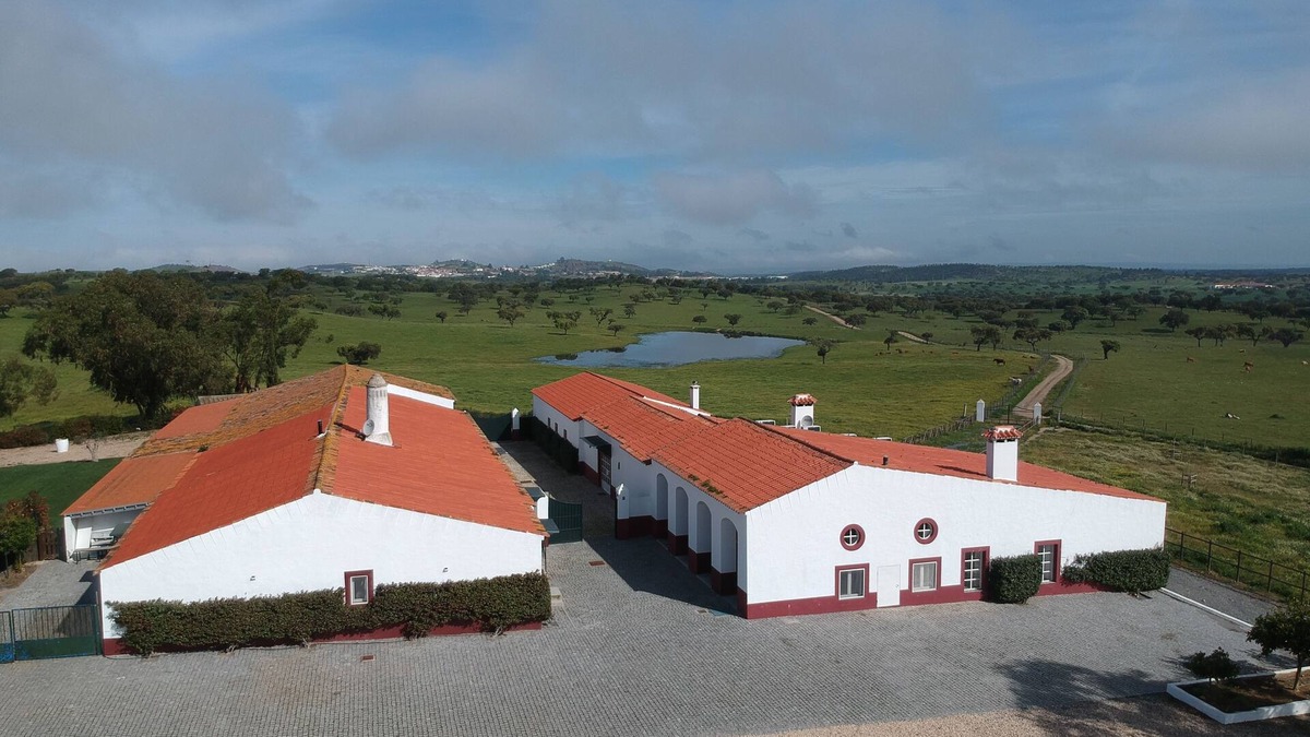 Aljustrel Villa | Villa HERDADE DA BOAVISTA: 1.000 sqm house just for YOU! Capacity: 20 guests.