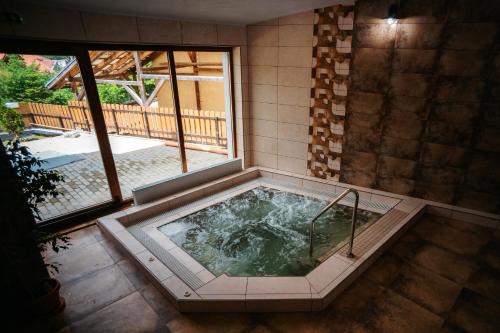 Baile Tusnad Bed & Breakfast | Villa Hope (Vila Speranta)