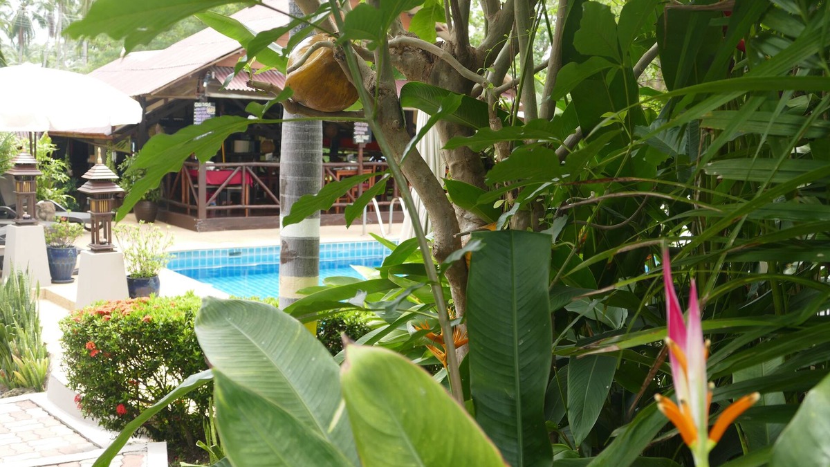 Lamai Villa | VILLA IMPERIAL 2 Bedrooms, 2 Bathrooms, Pool/Jacuzzi, Coconut Grove, Beach 400m