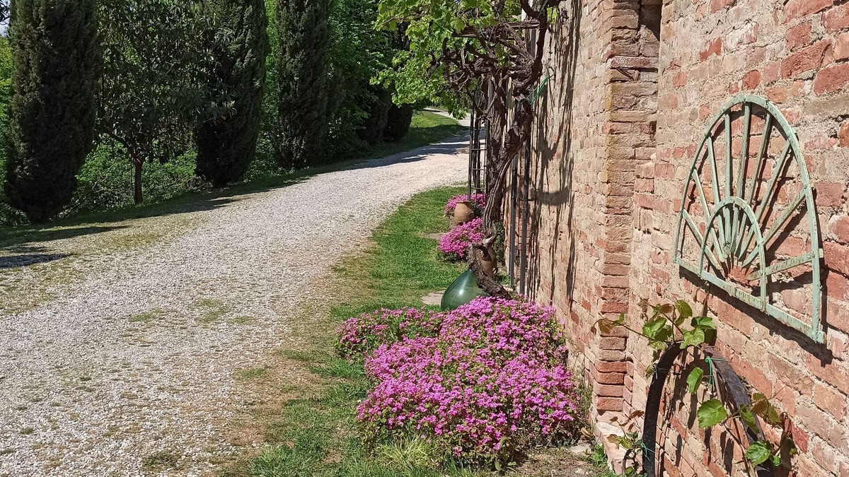 Sovicille Apartment | Villa in Siena Hills, flat 4/6 pax with pool A/C - heating- garden