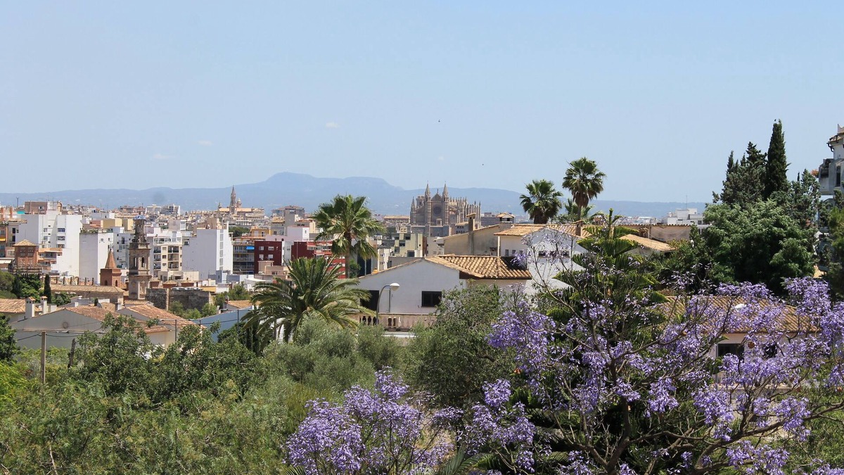 Son Dureta Villa | Villa in the City Center
