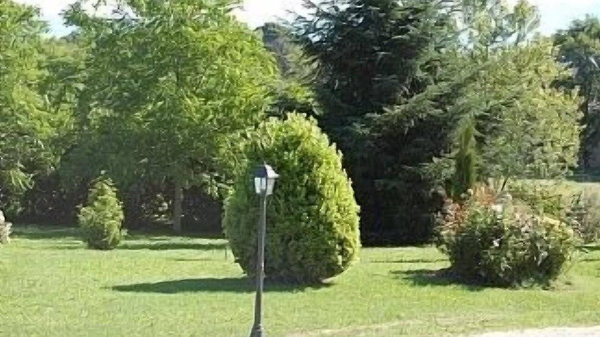 Bagnoregio Villa | Villa In The Country With Pool