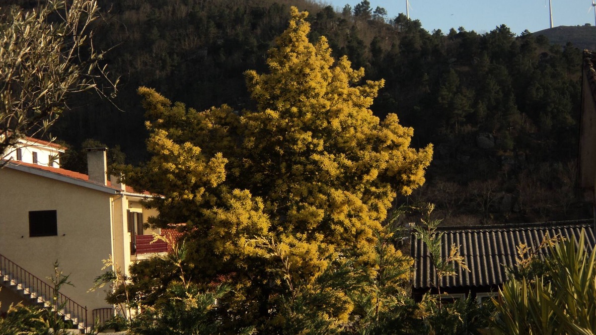Casas Novas Villa | VILLA IN THE HEART OF THE MOUNTAIN IN A SMALL AUTHENTIC VILLAGE
