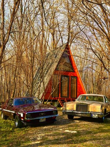 Tsqaltubo Cabin | Villa Ioseliani