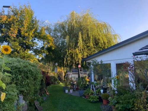 Breitscheid Bed & Breakfast | Villa Jani b&b