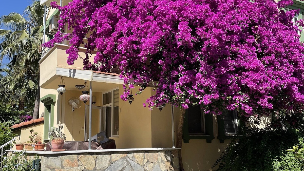 Konakli Villa | VILLA KONAK CLUB GARDEN near the beach