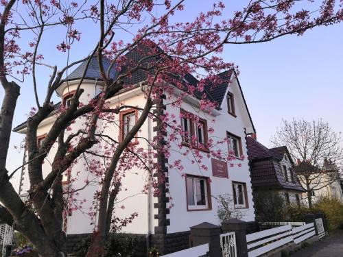 Hopfingen Hotel | Villa Kopp-Das Gästehaus