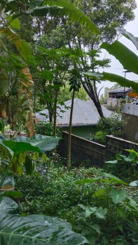 Wanagiri House | Villa Kubu Gitgit
