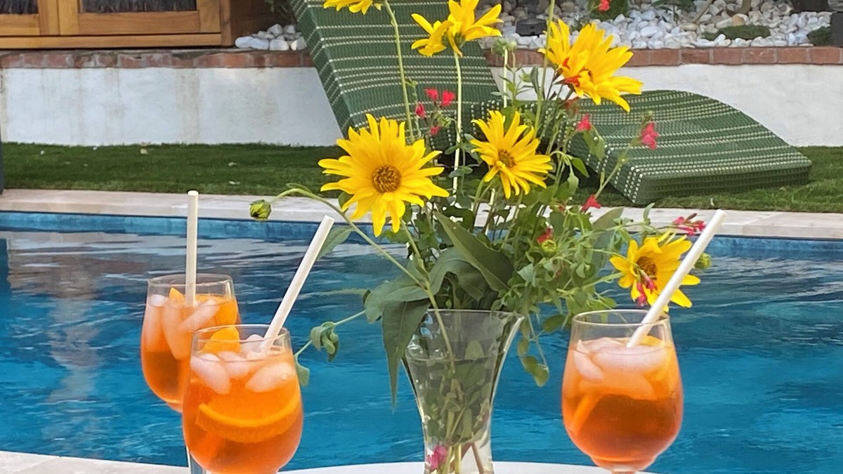 Chinon House | Villa L'ENTREPOTES with heated pool in CHINON's historic city center