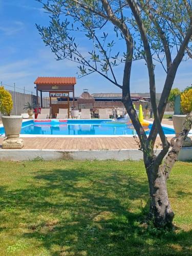 Traspinedo House | Villa La Espiga
