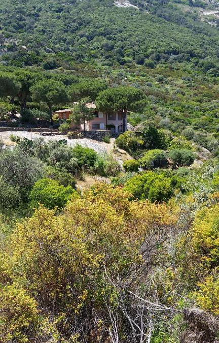 Arenella Villa | Villa Laura Aegilium