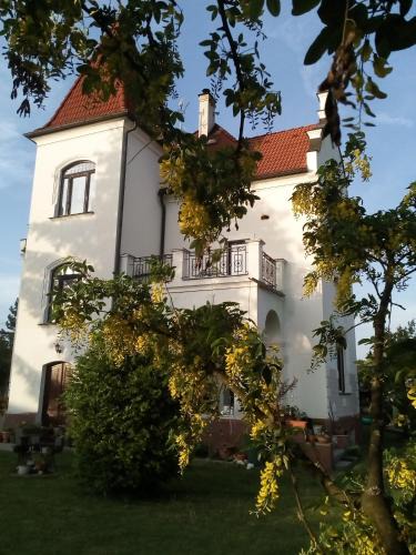 Bechyne House | Villa Liduška s kavárnou