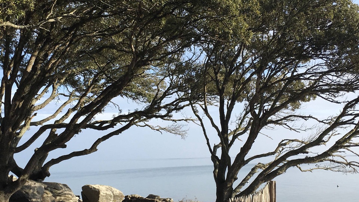Noirmoutier-en-l'Ile House | Villa located in the Bois de la Chaise 800m from the desired beaches