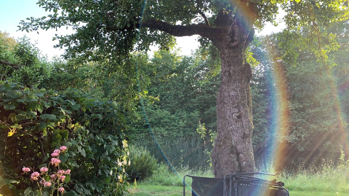 Stora Rycketofta House | Villa Maria Garden Cottages