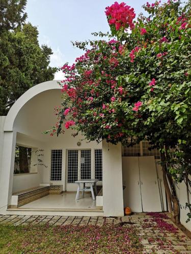 Sqanes Villa | Villa meublée à Monastir wifi illimité